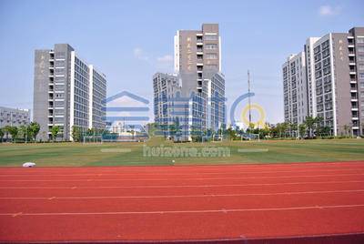 上海金融学院体育场基础图库6